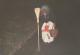 N�hodn� fotka z albumu